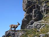 23 Il suo habitat naturale...